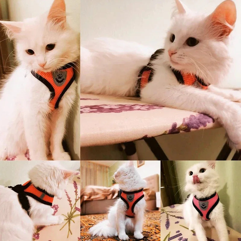 Cat Harness Vest Walking Lead Leash