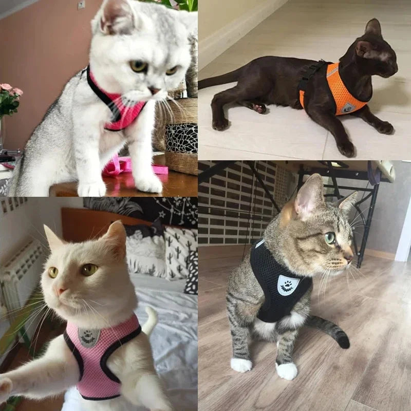 Cat Harness Vest Walking Lead Leash