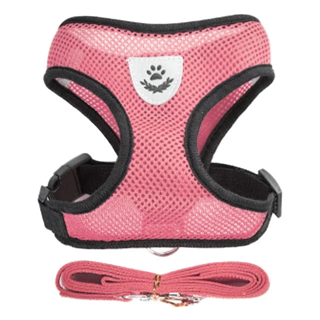 Cat Harness Vest Walking Lead Leash